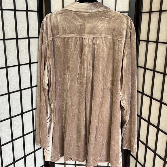 NWOT Parsley & Sage Velvet Top Floral Embroidered Boho Button Down Taupe - Picture 6 of 6